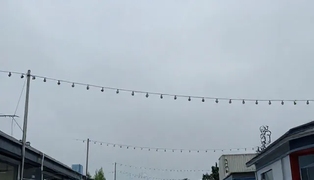 清洁误区:专业消杀服务在不同场景的适用条件分析